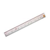 Righello trasparente ESD - 30cm