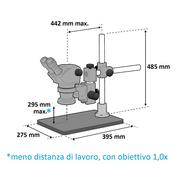 Vision SX45 Elite - Testa binoculare, stativo a braccio