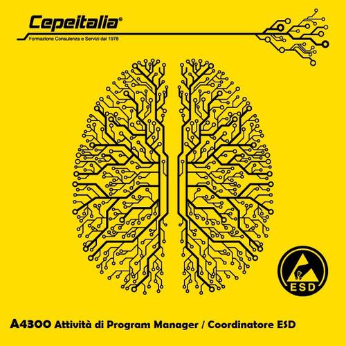 Attività di Program Manager / Coordinatore ESD