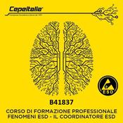 Corso Fenomeni ESD - Il Coordinatore ESD - Rinnovo
