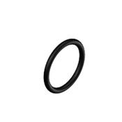 Branson O'Ring 1" 1/4 GKT OR V 375-14.3134